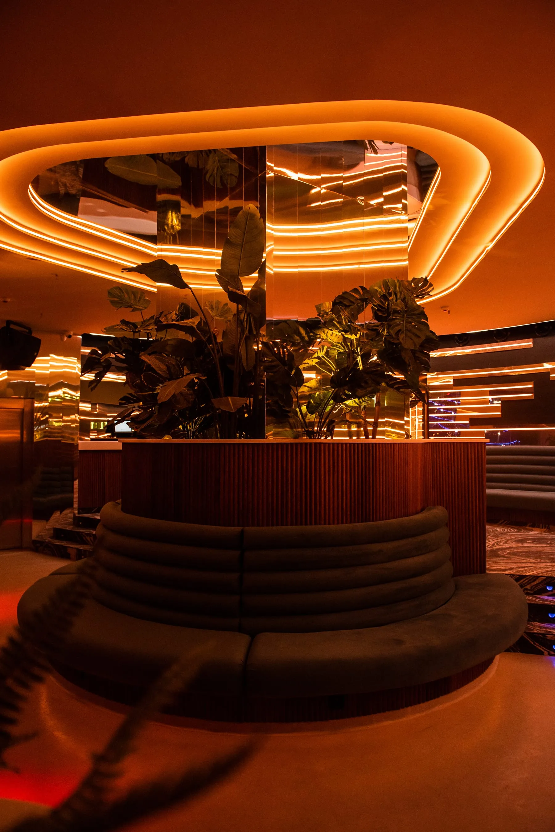 Fitz Madrid — imagen 3