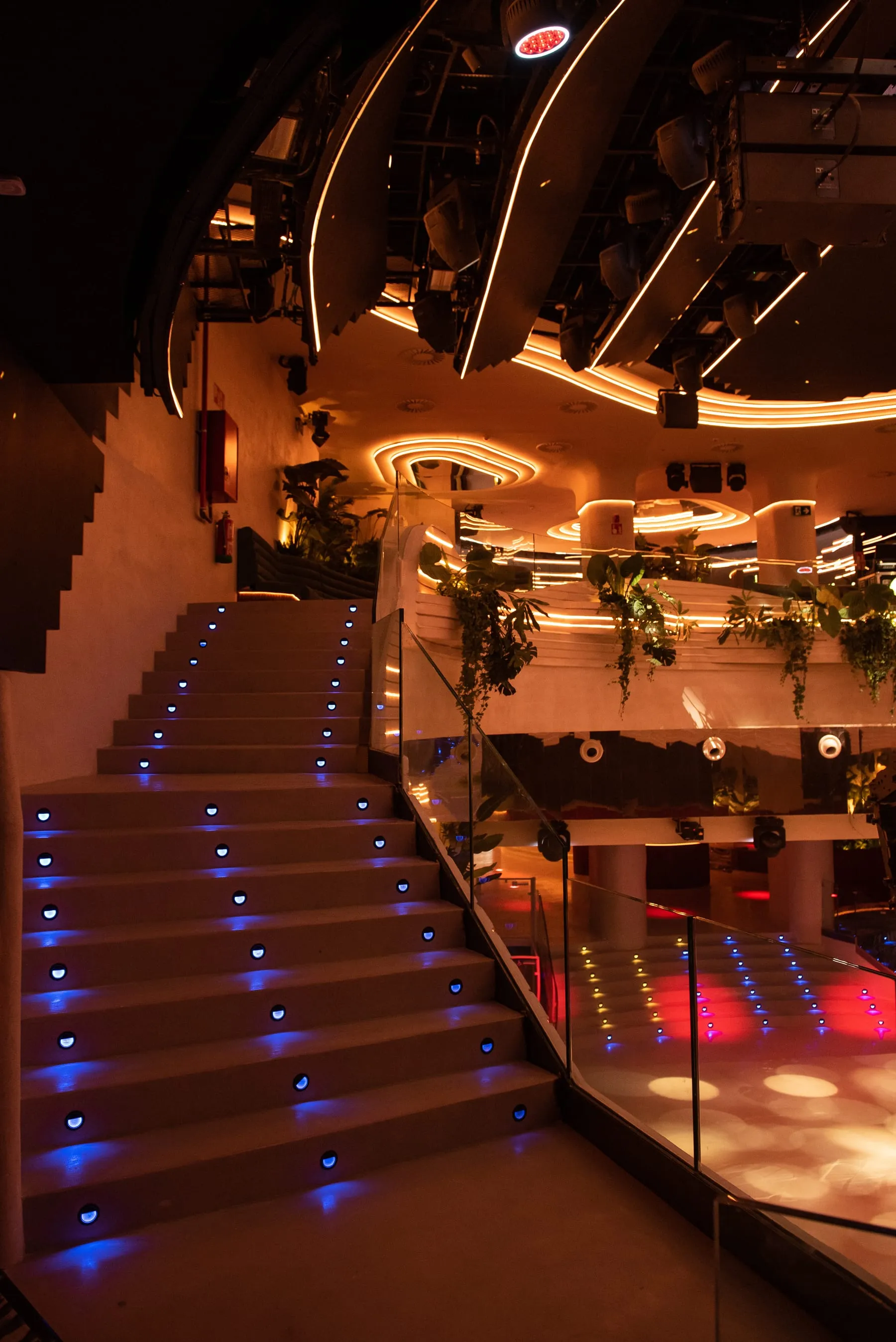 Fitz Madrid — imagen 4